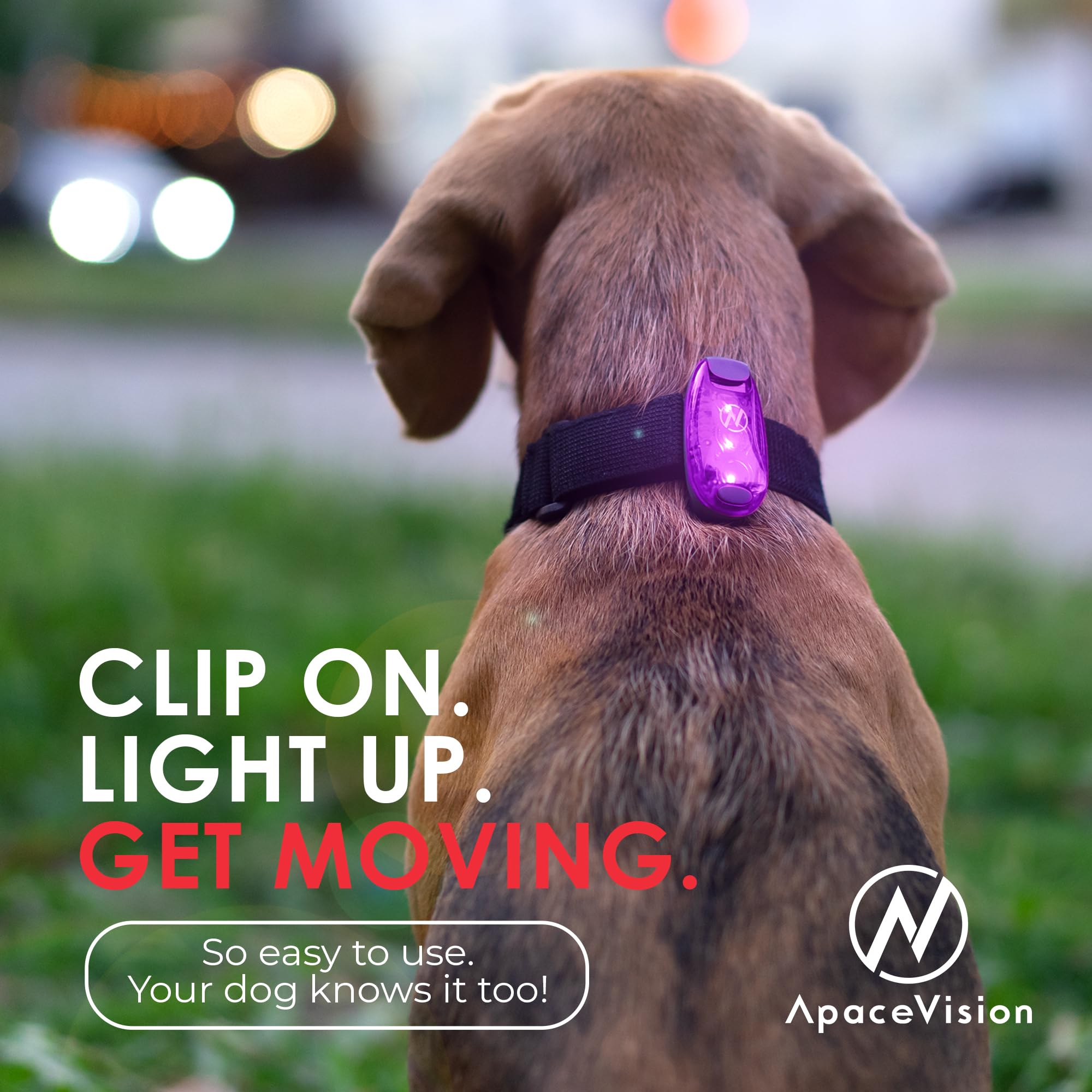 LED Safety Clip Lights